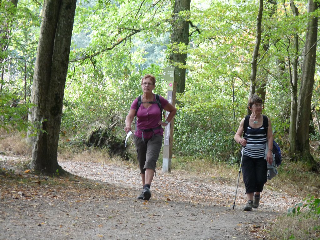2014-09-14 Château de la Madeleine-0037.JPG
